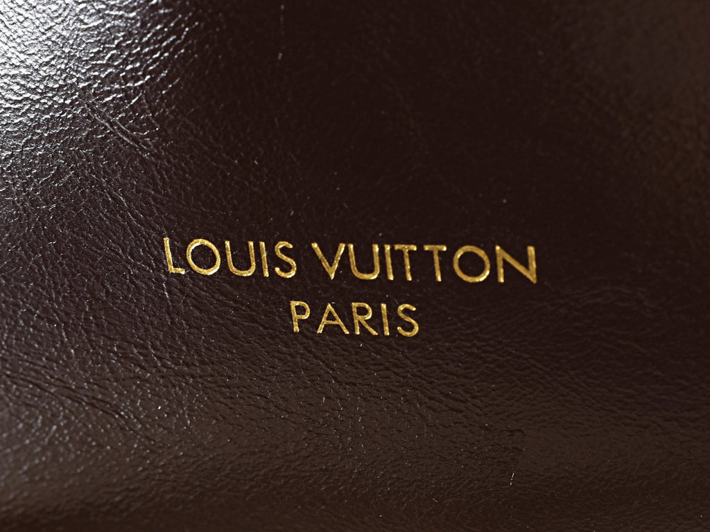 Louis Vuitton Multipass Chain Shoulder Bag — detail