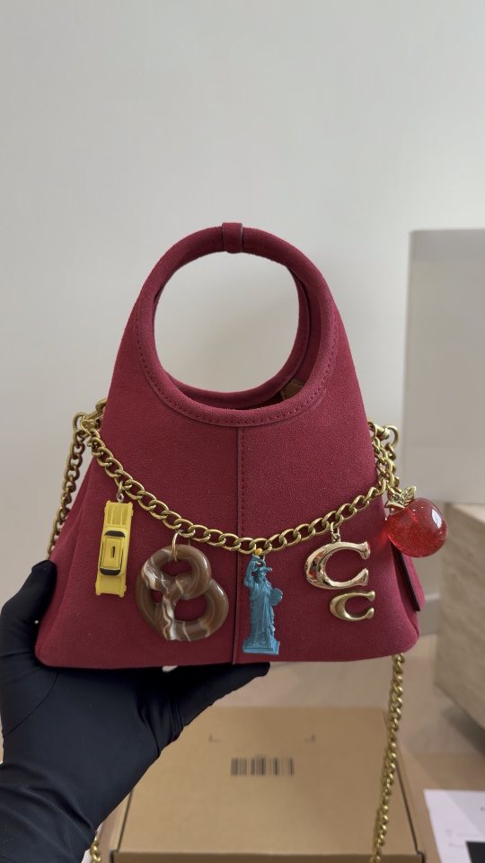 Coach Lana Charm Chain Handbag — hero