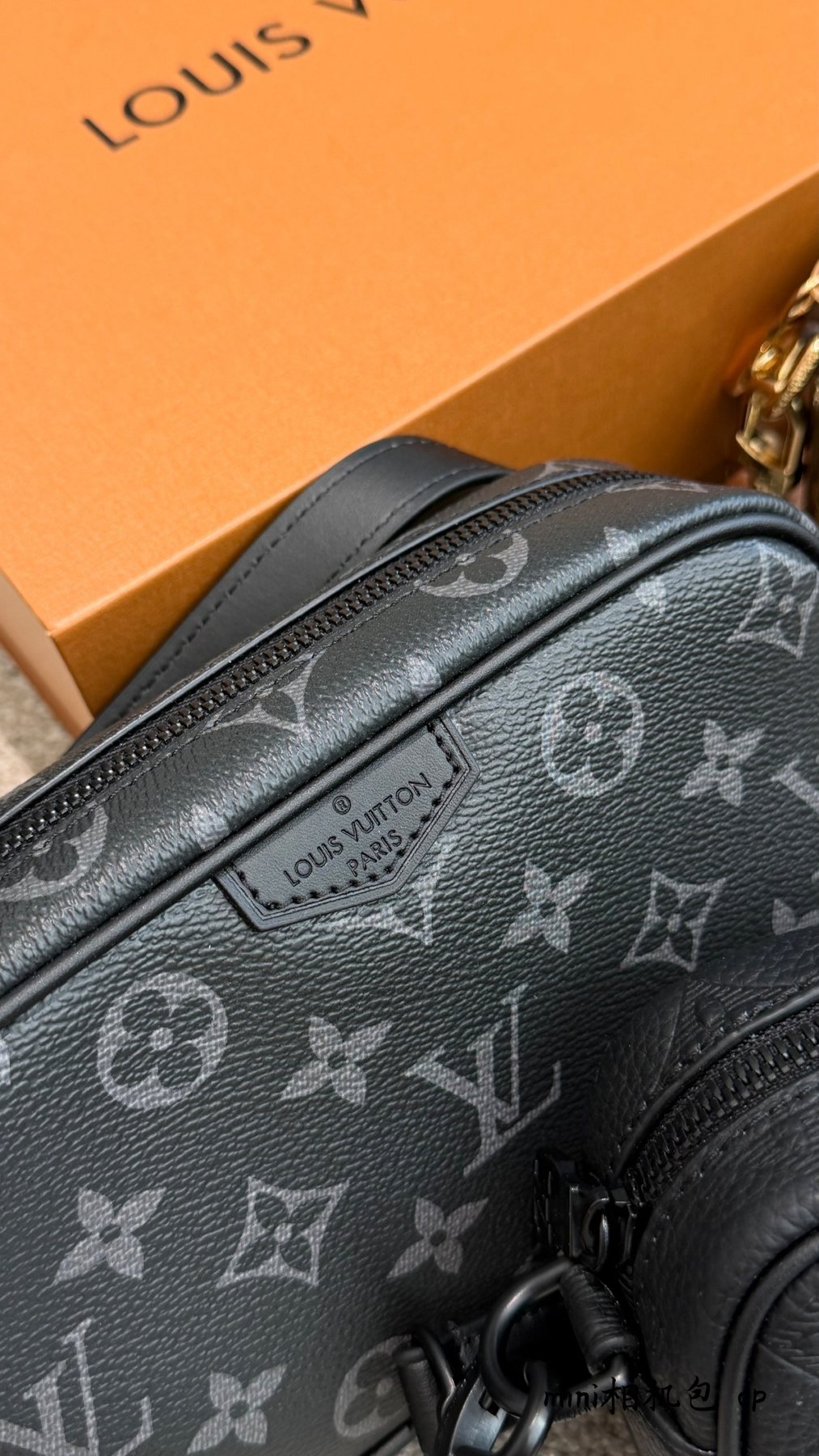Louis Vuitton Nano Alpha Monogram Camera Bag — detail
