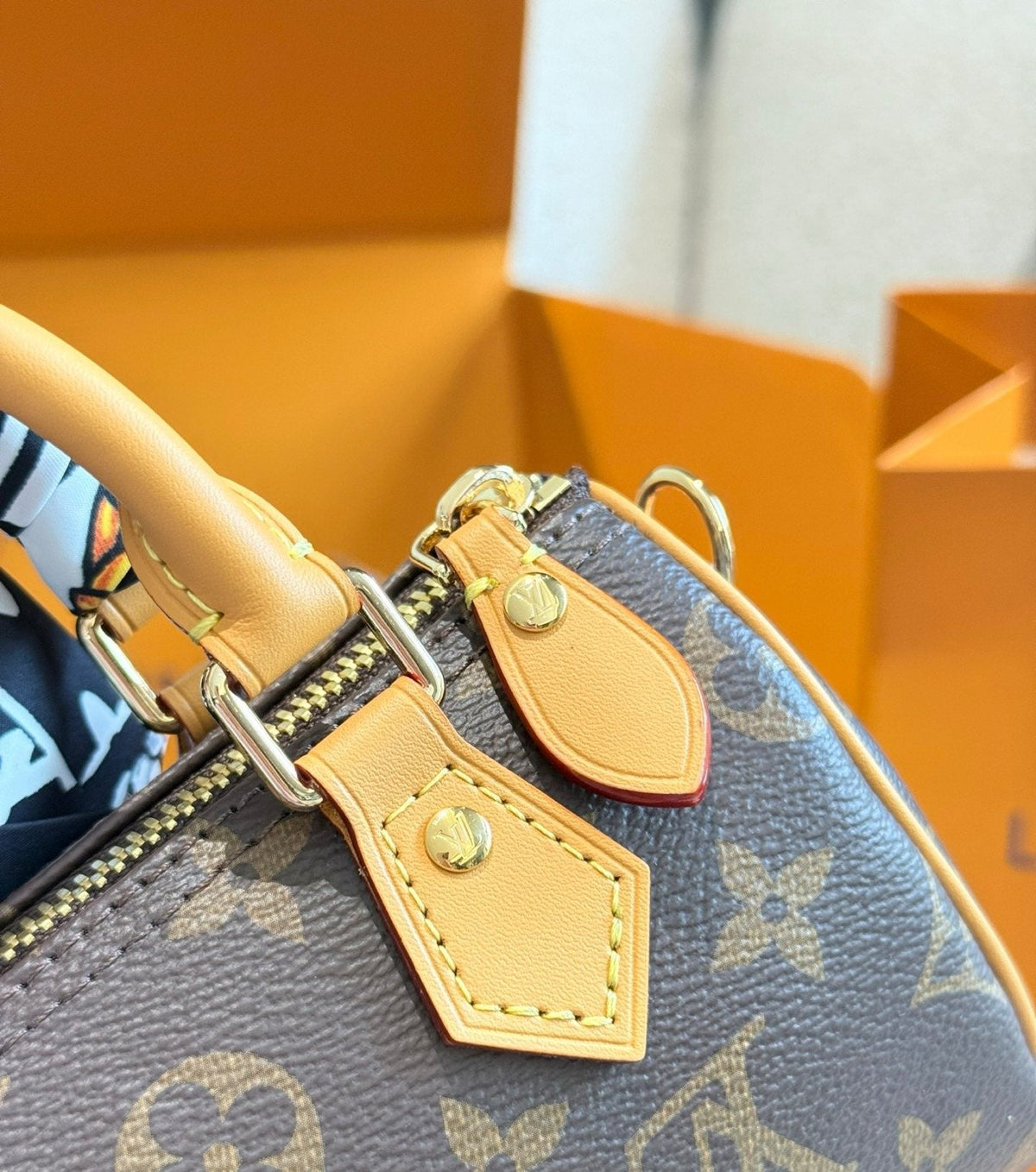 Louis Vuitton Speedy Nano Monogram Satchel — detail